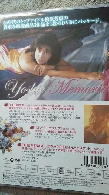 ky ☆(初版限定版)柏原芳恵メモリアル&レジェンド・ゴールド ☆☆DVD2枚セット!! < タレントグッズ  ky ☆(初版限定版)柏原芳恵メモリアル&レジェンド・ゴールド ☆☆DVD2枚セット!! < タレントグッズの