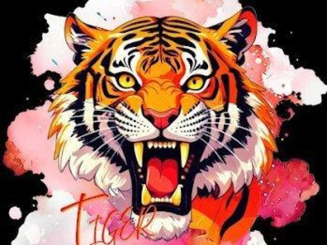 iPhone15 pro vX`bN n[hP[X ՁAAA[g   Ɠd/AV 