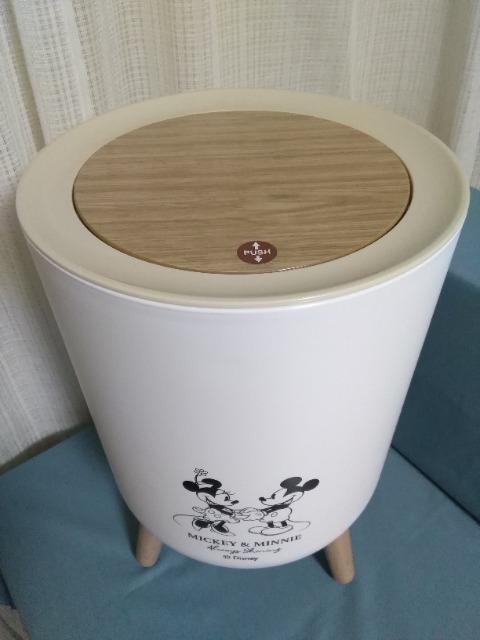 ミッキー&ミニー プッシュタイプダストボックス < アニメ/コミック/キャラクター ミッキー&ミニー プッシュタイプダストボックス < アニメ/コミック/キャラクターの