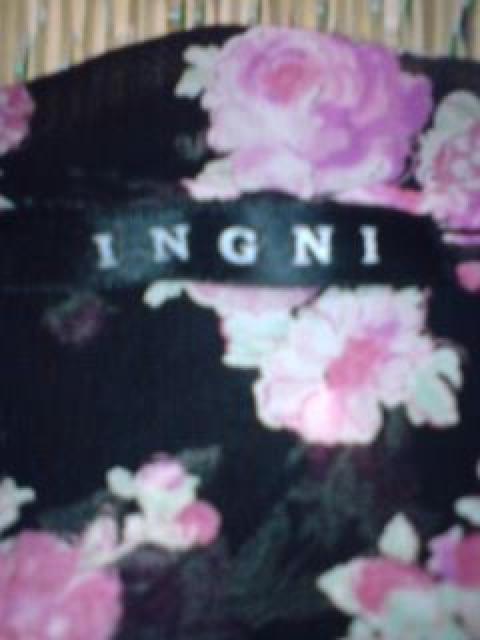 ԕL~[Xd˒oagehaViINGNI   uh 
