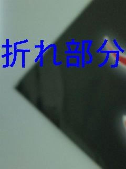 �i�i2005�`06�N�t���C���[2��/SuG�t���C���[1�������X�g1�_���� �� �^�����g�O�b�Y�� 