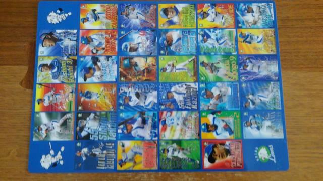 埼玉西武ライオンズ2006ファン感謝の集い 下敷き < レジャー/スポーツ  埼玉西武ライオンズ2006ファン感謝の集い 下敷き  < レジャー/スポーツの