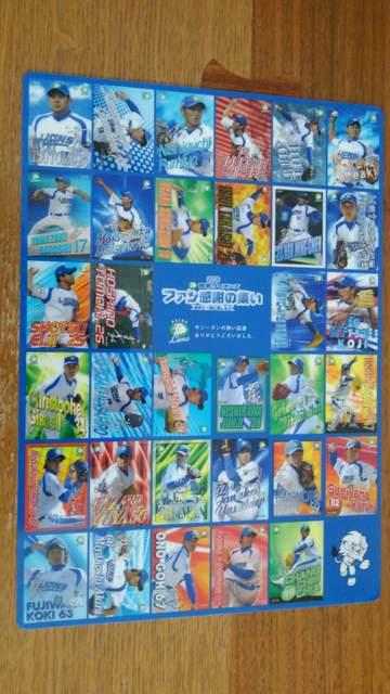 埼玉西武ライオンズ2006ファン感謝の集い 下敷き < レジャー/スポーツ  埼玉西武ライオンズ2006ファン感謝の集い 下敷き < レジャー/スポーツの