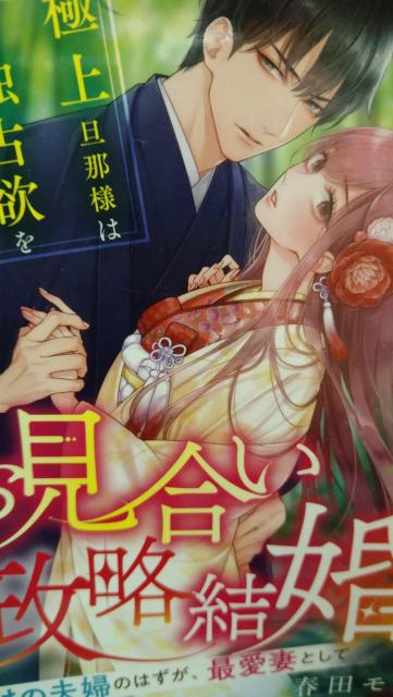 お見合い政略結婚★春田モカ★ベリーズ文庫 < 本/雑誌 お見合い政略結婚★春田モカ★ベリーズ文庫 < 本/雑誌の