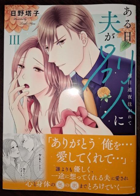 DAITO COMICS TLVvʐlɇB쓃q 