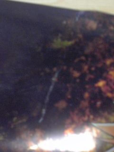 ブリーチ ポスター 黒崎 一護 < アニメ/コミック/キャラクター ブリーチ ポスター 黒崎 一護 < アニメ/コミック/キャラクターの