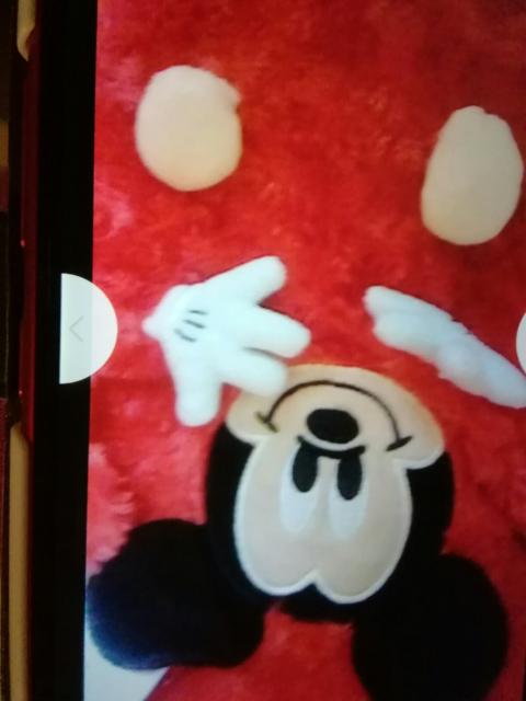 グるぐルぼぁヒざがゲレッド系 みッキ〜60×90p < ホビー  グるぐルぼぁヒざがゲレッド系 みッキ〜60×90p < ホビーの