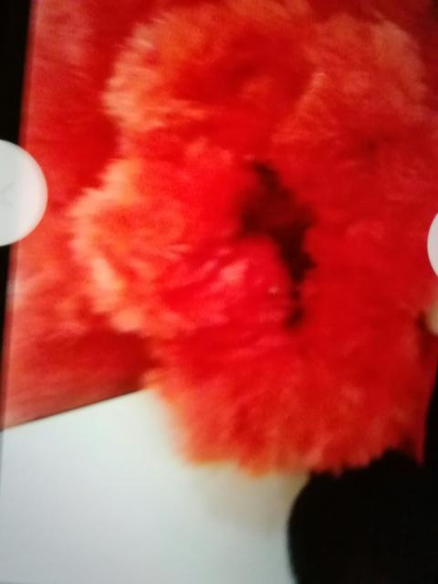 グるぐルぼぁヒざがゲレッド系 みッキ〜60×90p < ホビー  グるぐルぼぁヒざがゲレッド系 みッキ〜60×90p < ホビーの