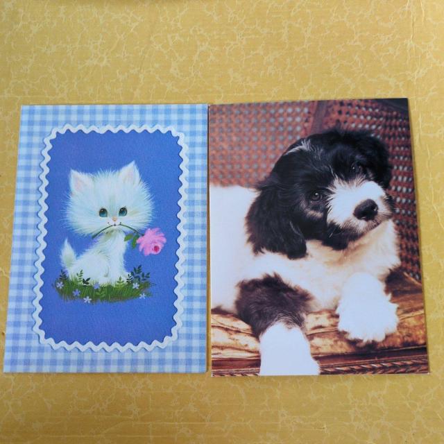 �|�X�g�J�[�h�A���b�Z�[�W�J�[�h �� �z�r�[�� 