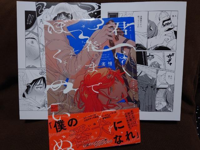 BL[tbgtyN͏t܂łڂ̂ʁz 