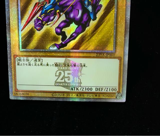 �y��/25th�z�V�Y�� �Í��R�m�K�C�A �N�H�[�^�[�Z���`�����[�V�[�N���b�g 25th�V�N 23YA-JP001  ���i �� ��������� 