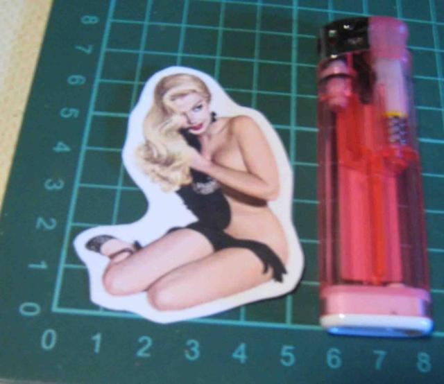 ���@�[�K�X   �����C���X�g �X�e�b�J�[�@���g�p�i  �� �z�r�[�� 