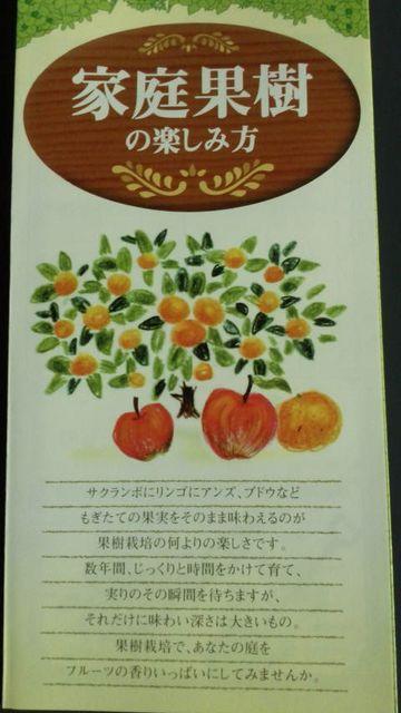 家庭菜園、家庭果樹の楽しみ方冊子 < ペット/手芸/園芸  家庭菜園、家庭果樹の楽しみ方冊子  < ペット/手芸/園芸の
