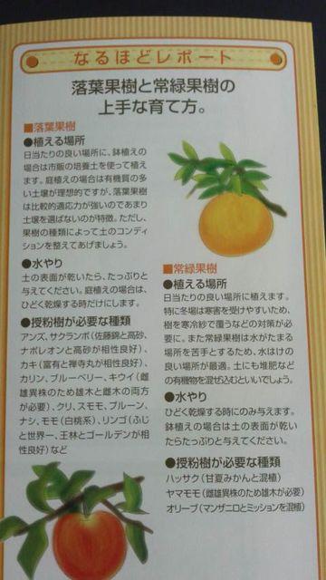 家庭菜園、家庭果樹の楽しみ方冊子 < ペット/手芸/園芸  家庭菜園、家庭果樹の楽しみ方冊子 < ペット/手芸/園芸の