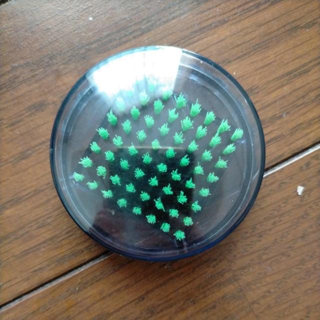 ハンコブラシ 印鑑ブラシ 1個 < インテリア/ライフ ハンコブラシ 印鑑ブラシ 1個 < インテリア/ライフの