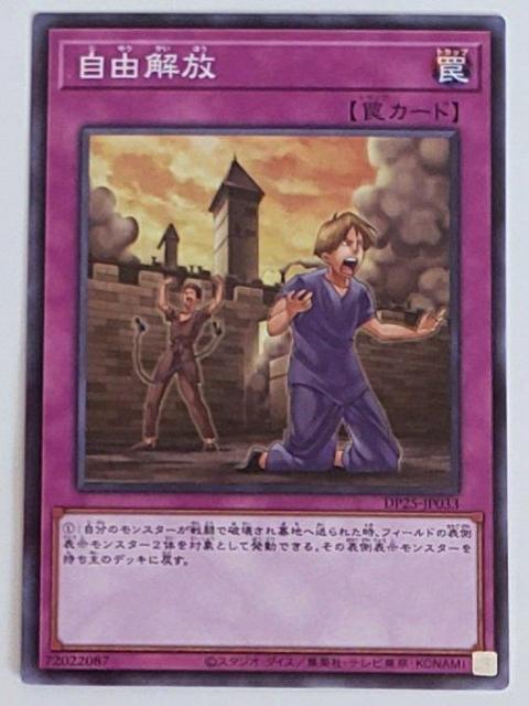 Õi@VY@fGX^[Y@R@J   g[fBOJ[h 