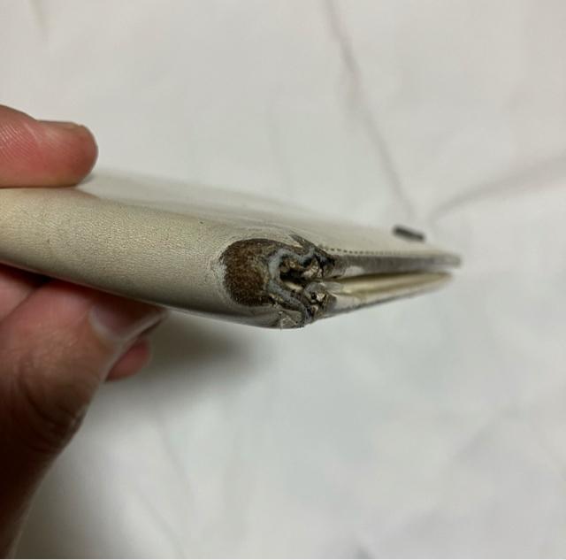 �y1�~�X�^�[�g�z�yDolce&Gabbana / �h���`�F���K�b�o�[�i�z ���U�[ ��܂���z