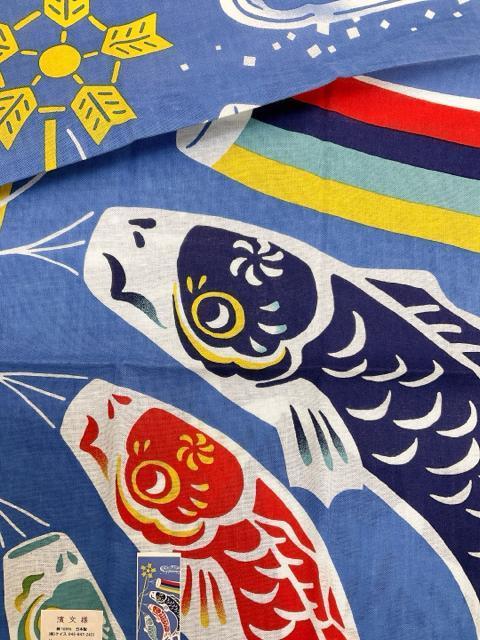 Gʂŷڂz_l ̂ڂEH[fR ̂ڂ [ 5 nJ`  Vigpi {  CeA/Ct 