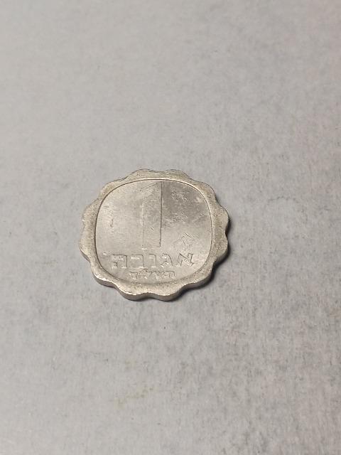 �C�X���G��1�A�S��  �� �z�r�[�� 