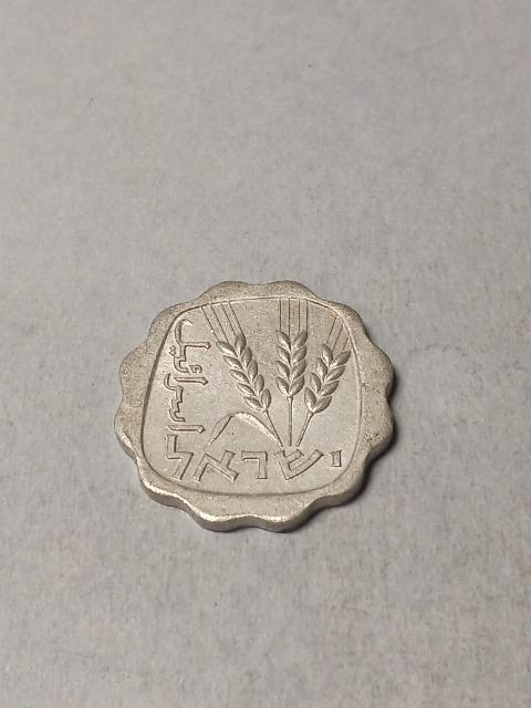 �C�X���G��1�A�S�� �� �z�r�[�� 