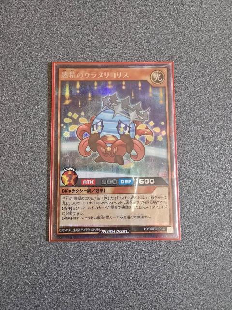 VYbVfG f̃EkRX SE   g[fBOJ[h 