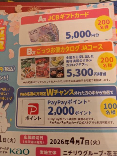 �^�C�A�b�v�J�^���O�M�t�g�����郌�V�[�g1����  �� �`�P�b�g/������ 