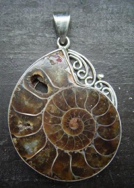 ☆即決☆アンモナイトシルバートップ 5.1センチ 化石 < 女性アクセサリー/時計 ☆即決☆アンモナイトシルバートップ 5.1センチ 化石 < 女性アクセサリー/時計の