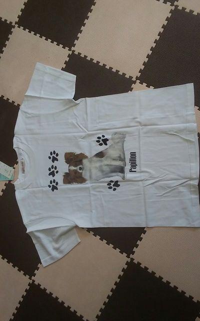 Vi@Papillon@psI@t[TCY   t@bV 