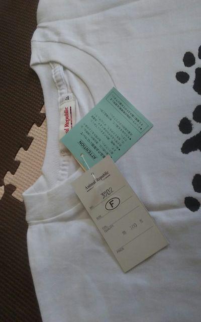 Vi@Papillon@psI@t[TCY  t@bV 