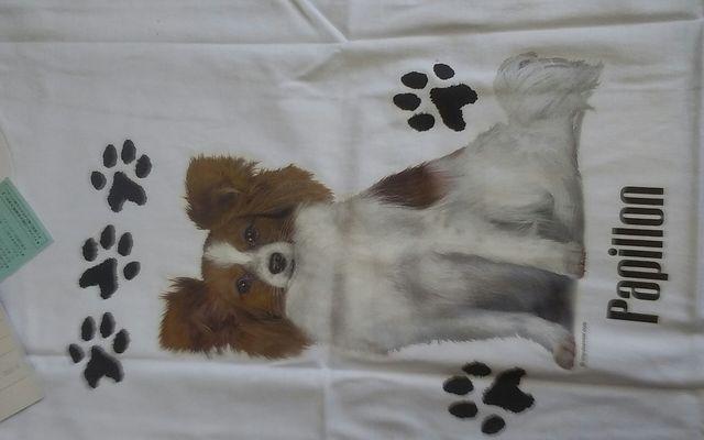 Vi@Papillon@psI@t[TCY  t@bV 