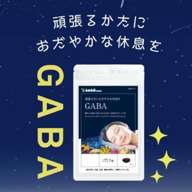 GABA ギャバ サプリメント 約3ヵ月分 健康食品 < グルメ/ドリンク  GABA ギャバ サプリメント 約3ヵ月分 健康食品  < グルメ/ドリンクの
