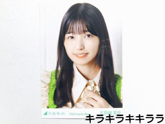 sNewtT؍46/ܕS䝉2024N*Lucky Bag[ʐ^]   ^gObY 