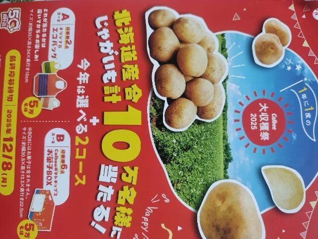 Calbee 2025 Jr[Ly[@nՁ@匔 8_(4_{4_) 