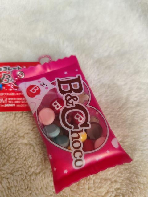 BLOOM B&Choco �`���R���[�g�~�j�p�b�N �L�[�z���_�[ �}�X�R�b�g �� �����t�@�b�V������ 