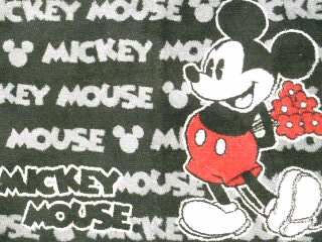 y~bL[zoX}bg/փ}bgA  CeA/Ct 