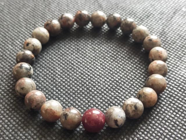 �p���[�̌����i�ɂāB�u�ω��̑Ή��ƈ����񂹂̗́v1�_����ł��B