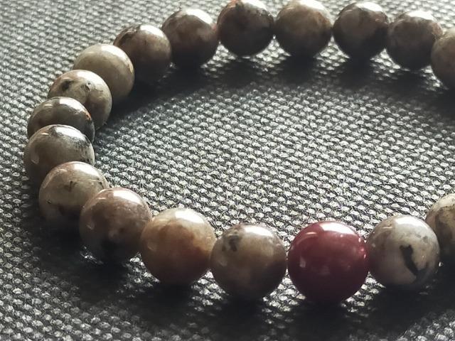 �p���[�̌����i�ɂāB�u�ω��̑Ή��ƈ����񂹂̗́v1�_����ł��B