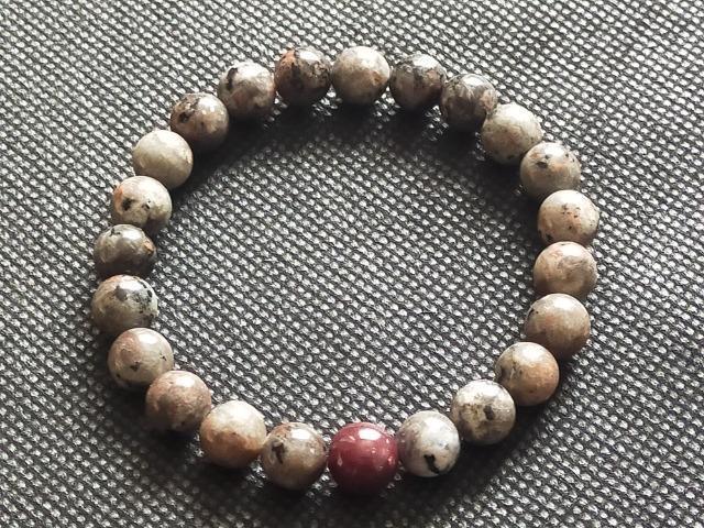 �p���[�̌����i�ɂāB�u�ω��̑Ή��ƈ����񂹂̗́v1�_����ł��B