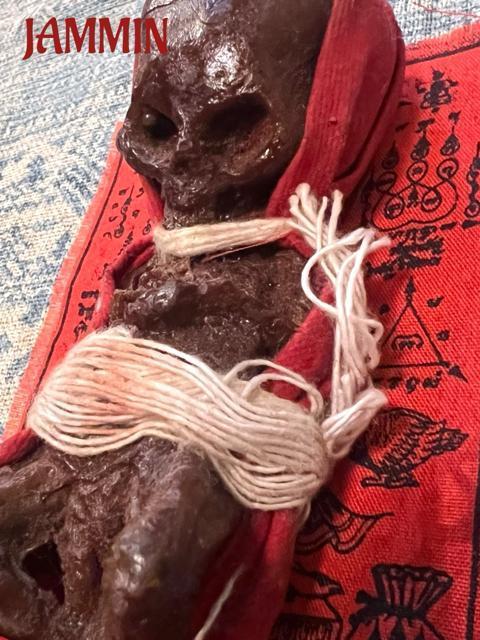 �N�}���g�[���@���b�N�N���b�N�@���~���q�@�J�^�@����@���^ �� �z�r�[�� 