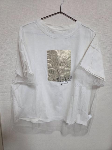 ANGIE�����J�b�g�\�[ �� �����t�@�b�V������ 