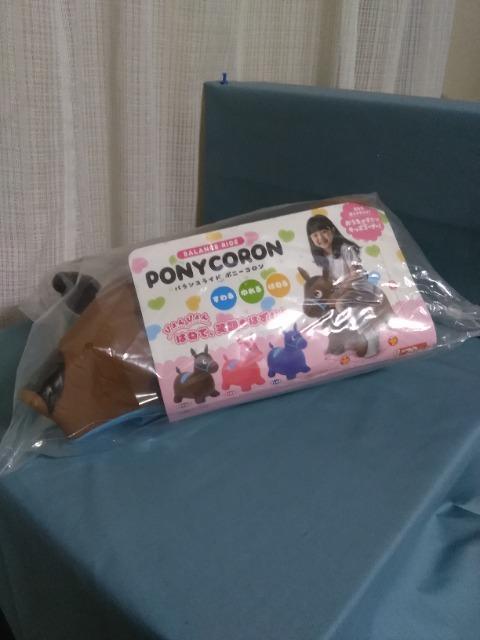 �o�����X�����h�|�j�[�R�����@�u���E�� �� ��������� 