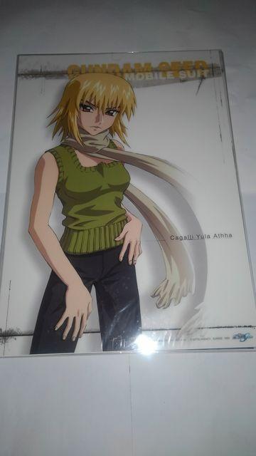 K_@SEED  ~j NA |X^[@SN  zr[ 