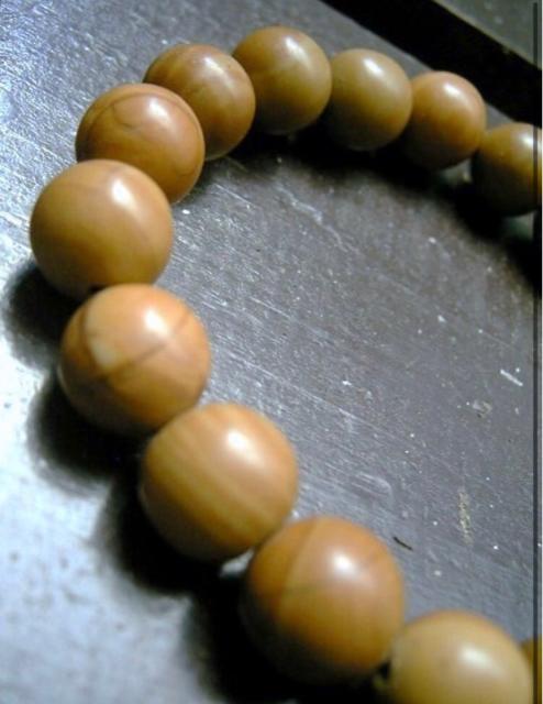 10~ʁ@]؁EOCjlXuXbg  ANZT[/v 