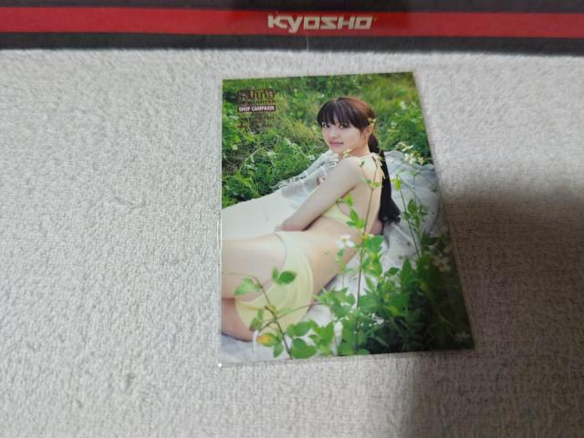 �g���J '10  ������  �S�[�I���C�G���[  �� �g���[�f�B���O�J�[�h�� 