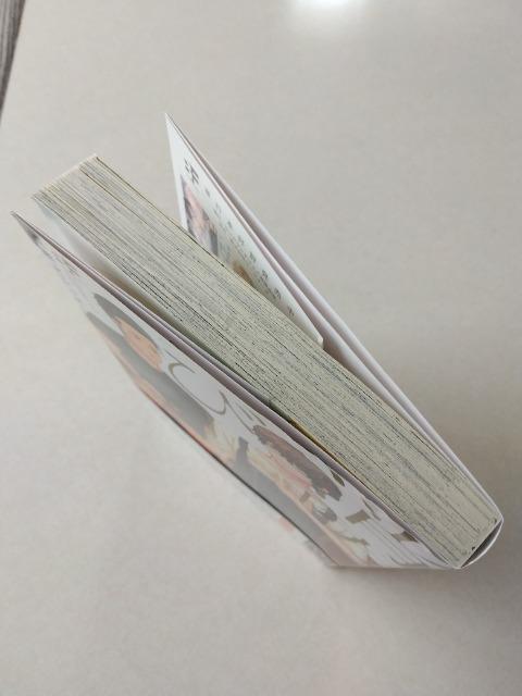 hmƂс[i^󐣔VV`  Aj/R~bN/LN^[ 