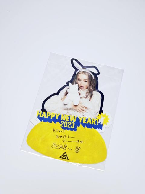 (215) cҖ N 2023N cg  FC 񔄕i   ^gObY 