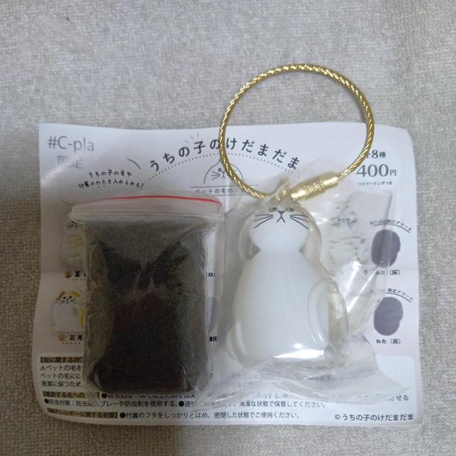 ̎q̂܂ n` K` JvZgC Ki   zr[ 