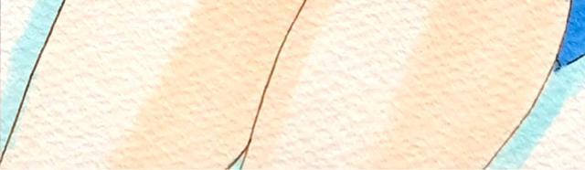 CXg/2/숟/}[L[/p`  Aj/R~bN/LN^[ 