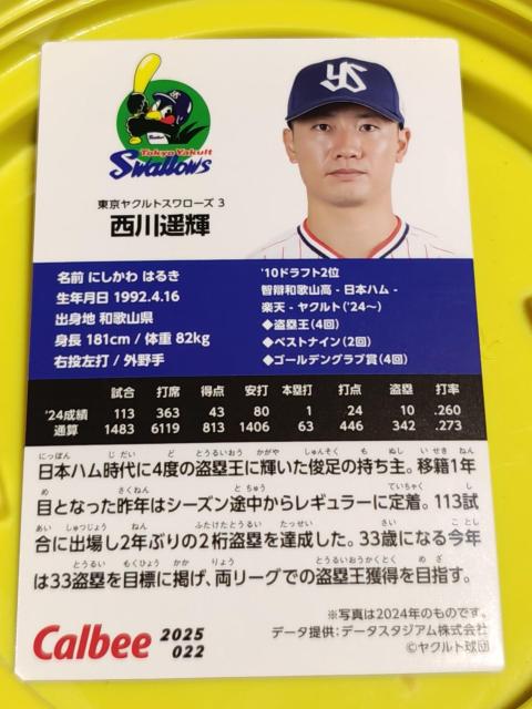 ����y�P  �� �g���[�f�B���O�J�[�h�� 