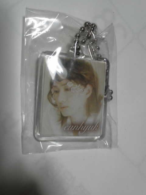 スーパージュニア  キーホルダー 3個 カード1セット 新品 正規品 < タレントグッズ  スーパージュニア  キーホルダー 3個 カード1セット 新品 正規品 < タレントグッズの